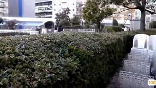 无码人妻啪啪一区二区|日韩精品一区二区3区|亚洲无线码在线免费观看